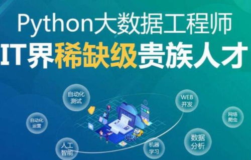 Python与Excel在数据分析中的对比 为什么Python更胜一筹？